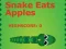 Mchezo Snake Eats Apples online