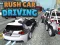 Mchezo Rush Car Driving online