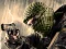 Mchezo Terrorist Shootout online