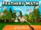Mchezo Feathery Math online