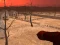 Mchezo Wasteland Shooters online