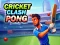 Mchezo Cricket Clash Pong online