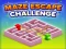 Mchezo Maze Escape Challenge online