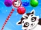 Mchezo Raccoon Rescue online