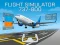 Mchezo Flight Simulator 737-800 online
