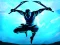 Mchezo Shadow Ninja Revenge online