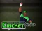 Mchezo Cricket Fielder Challenge online