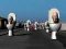Mchezo Hunt Skibidi Toilet online