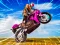 Mchezo Crazy Wheelie Motorider online