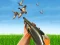 Mchezo Bird Hunting online
