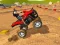 Mchezo ATV Stunts online