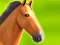Mchezo Horse Run 3D online