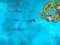Mchezo Survive the Sharks online