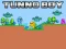 Mchezo Tunno Boy online