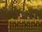 Mchezo The Lost Forest online