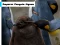 Mchezo Emperor Penguin Jigsaw online