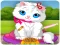 Mchezo Vet Cat Clinic online