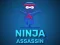 Mchezo Ninja Assassin online