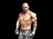 Mchezo Fight Arena Online online