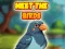 Mchezo Meet The Birds online