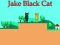 Mchezo Jake Black Cat online
