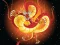 Mchezo Chinese Dragons Coloring online