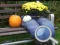 Mchezo Autumn Garden Find 100 butterflies online