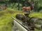 Mchezo Stag Hunt online