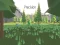 Mchezo Precision online