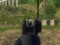 Mchezo Army Shooter online