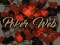 Mchezo Poker Web online