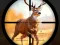Mchezo Wild Hunting Clash online