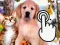 Mchezo Pets Clicker online