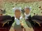 Mchezo Shooting Survival Skibidi Toilet online