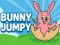 Mchezo Bunny Jumpy online