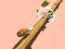 Mchezo Spiral Rush online