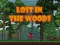 Mchezo Lost in the Woods online