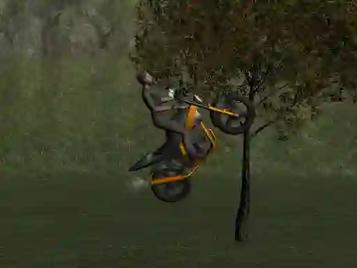 Mchezo Mountain Bike Rider online