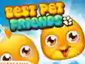 Mchezo Best Pet Friends online