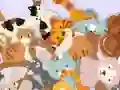 Mchezo Find The Kitty online