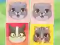Mchezo Kitten Match online