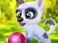 Mchezo Happy Dog online