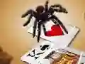 Mchezo Jumping Spider online