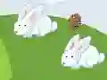 Mchezo Crazy Eggs online