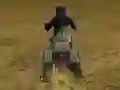 Mchezo Real Moto Stunts Challenge online