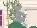 Mchezo Tom und Jerry: Wasserbomben Wahnsinn online