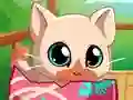 Mchezo My Pocket Pets Kitty Cat online