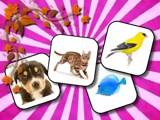 Mchezo Animals Memory online