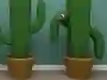 Mchezo Cactus Cube online
