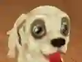 Mchezo Pet Run Adventure online